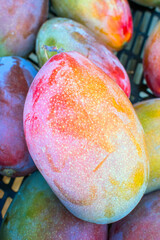 Spanish Mango: A Taste of Paradise.