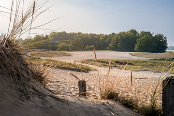 Serene beauty of Hamburg's Boberger Dünen sand dunes as you stroll along a sunlit path amidst the tranquil sand dunes, with dune grass dancing gently and a distant forest graced by the soft sunlight.