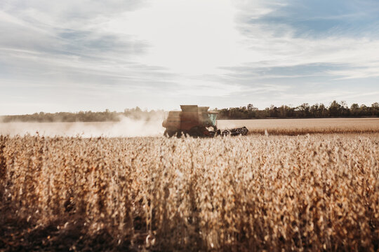 Backlit combine harvesting soybeans in the evening stirring up d