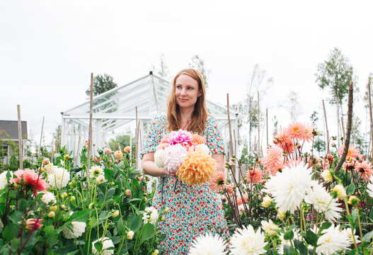 beautiful portrait of woman standing amongst her Dahlias's at home