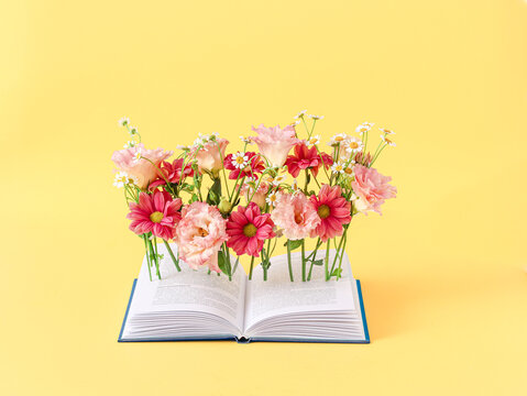 Book with flowers . Summer holidays or back to school concept.