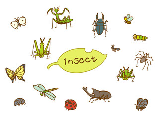 虫イラスト（カラー） © S.drawing