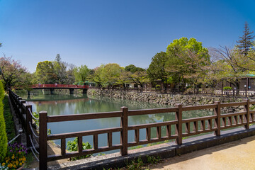 Fototapeta premium 兵庫 姫路動物園