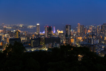 兵庫県神戸市 ビーナステラスから見る神戸市の夜景
