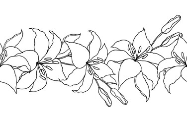Lilly line art flower seamless garland for design of card or invite.Vector black and white hand drawn illustration, isolate on white background