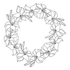 Lilly flower line art garland circle wreath set, vector background.