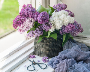 A bouquet of lilacs  in the basket and scissors on the old windowsill, selective focus. Vintage concept.	