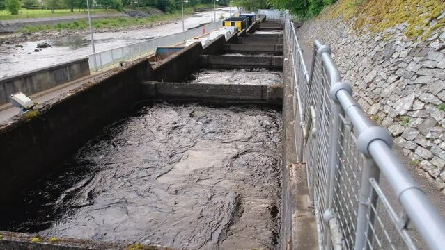 Pools or chambers with flowing water in the salmon ladder at Pitlochry dam