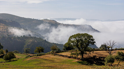 Mountain terrain with low clouds