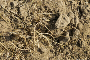 Close-up of a barren land from above