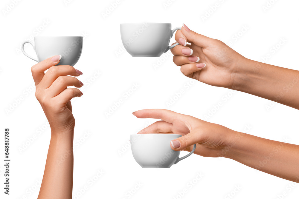 Wall mural A woman's hand holds a white cup. Three options. on isolated transparent background