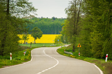 kręta asfaltowa droga ze znakami na poboczu wśród zielonych drzew, trawy i żółtej łąki, w tle zielony las © Bogdan