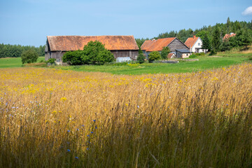 Krajobrazy mazurskich wsi 