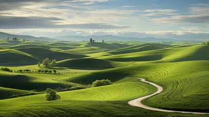 Green fields wallpaper