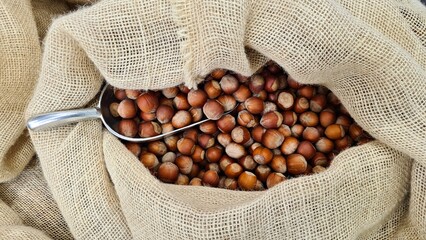 Healthy hazelnuts are packed into bags for sale at the market