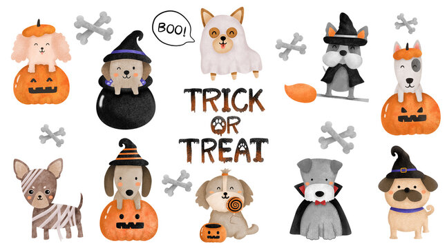 Watercolor Halloween Cute Puppies, Halloween cute dog set, Poodle,Frenchie,Pug,Corgi, Dachshund Dracula, Witches, Mummy, Pumpkin 