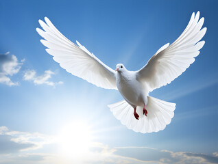 Obraz premium white dove flying in the sky world peace holy spirit