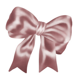 Dark pink bow
