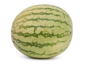 Striped watermelon on a white background. Ripe watermelon close-up.