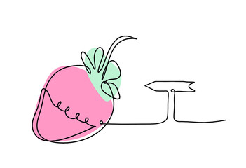 Drawing line of color strawberry and direction on the white