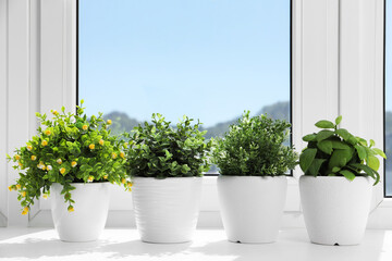 Artificial potted herbs on sunny day on windowsill indoors. Home decor