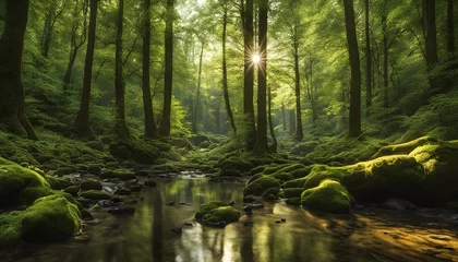 Foto op Plexiglas river in the forest © Max_T