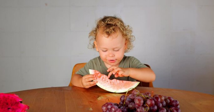 Baby boy sits with slice of watermelon and runs his finger along edge, examining food. Slow motion portrait of young child with fresh fruit, he's already taken bite and is studying subject he chews