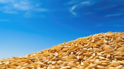 A pile of wheat grains against a backdrop of a blue sky.