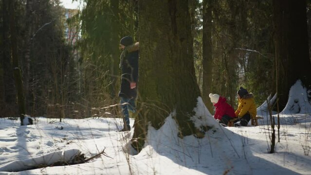 Father takes preschooler children on sleigh in snowy forest illuminated by sunlight