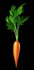 Tasty fresh carrot fresh out of the ground. Generative AI