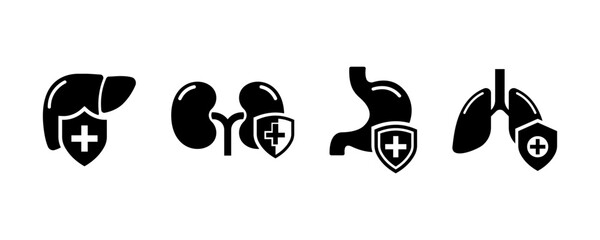 Set of medical shields with liver, kidneys, stomach and lungs vector icons. Safety or protection internal organs. Vector 10 Eps.