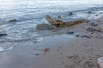 Ein bisschen  Fantasie am Ostsee Strand neben vielen kleinen Steinen liegt hier auch ein...