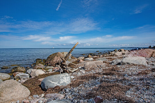 Naturstrand an der Ostsee. Im Vordergrund der Strand mit den trocknen Algen Steinen und kleinen Felsbrocken dazu etwas Holz, dahinter das Wasser der Ostsee. Ein sch&ouml;ner blauer Himmel rundet das Bild 