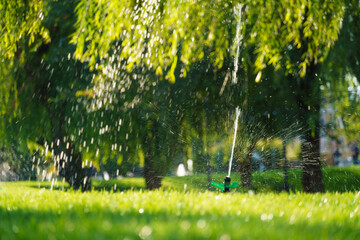watering the lawn in the city park, splashing water, bright sunlight on the green grass, trees in the shade, a beautiful summer landscape - obrazy, fototapety, plakaty