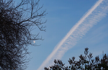There is a moon in the blue sky