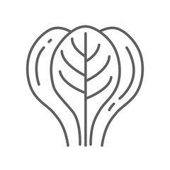 Spinach icon. Leaves vegetable logo Spice for food apps and websites. Tasty fresh herb green leaf healthy lettuce concept Editable stroke. Vector illustration design on white background. EPS 10