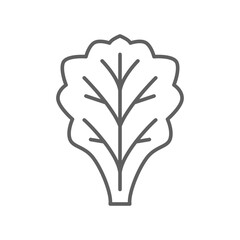lettuce icon. Salad sign. Organic Leaf Lettuce vegetable logo of healthy symbol for food app and website. Editable stroke. Vector illustration. Design on white background. EPS 10