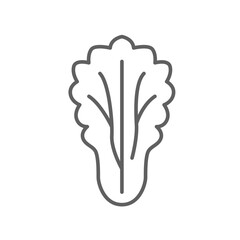 lettuce icon. Salad sign. Organic Leaf Lettuce vegetable logo of healthy symbol for food app and website. Editable stroke. Vector illustration. Design on white background. EPS 10