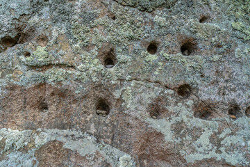 松島観瀾亭　宮城県　壁面