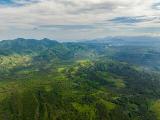 Fototapeta na wymiar Topical landscape with rainforest. Blue sky and clouds. Mindanao, Philippines.