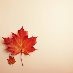 Fototapeta premium Beautiful composition of autumn leaves, fruits, vegetables with copy space