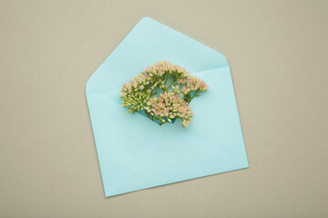 Composition with envelope and beautiful flowers on grey background