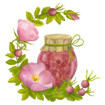 recommend clip art: Branch Wild Rose with leaves, flowers and berries. Homemade rosehip jam in glass jar. Hand draw watercolor illustration isolated on white background. For logo, card, print packaging design, fabric