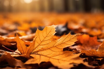 Autumn leaves with water drops on them. Beautiful nature background. Generative Ai