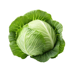 Fototapeta premium Cabbage isolated on transparent background cutout png. Perfect for food-related designs, agricultural themes, or projects related to farming
