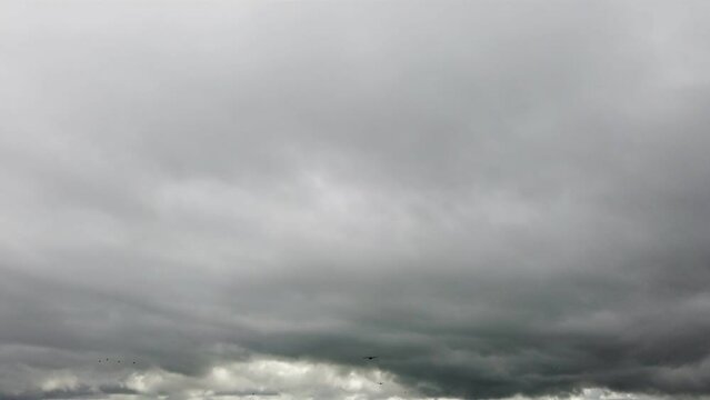 Operation Falcon Leap in the Netherlands, Military airplanes practice in flying low