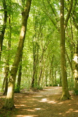 A picture clicked in The Netherlands
