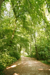 A picture clicked in The Netherlands
