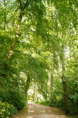 A picture clicked in The Netherlands
