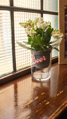 plant pot in a glass on a windowsill with natural light on it through the glass